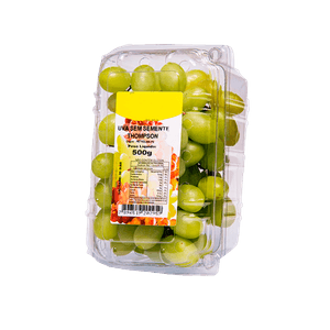 UVA-THOMPSON-POTE-500G-SEM-SEMENTE