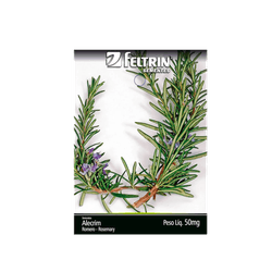 SEMENTE-FELTRIN-SACHE-01MG-R630-ALECRIM-ORVALHO