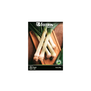 SEMENTE-FELTRIN-SACHE-05MG-R15-ALHO-PORO