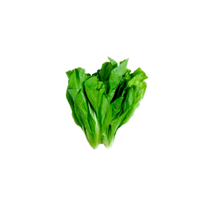 ALMEIRAO-VERDE-UN