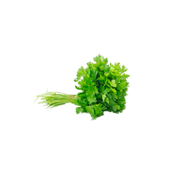SALSA-UN