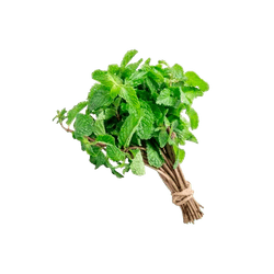 HORTELA-UN
