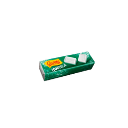 PASTILHA-GAROTO-17G-HORTELA