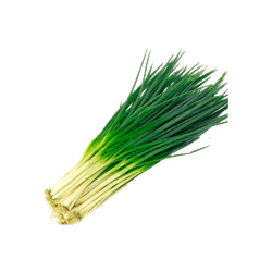 CEBOLA-VERDE-UN