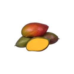 MANGA-PALMER