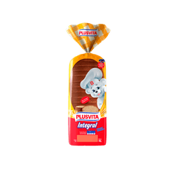 PAO-DE-FORMA-PLUS-VITA-480G-INTEGRAL
