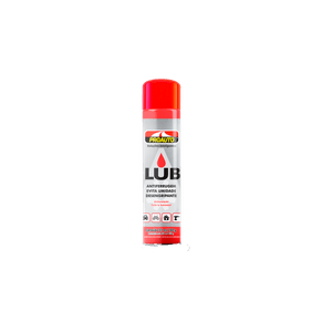 LUBRIFICANTE-PROAUTO-300ML