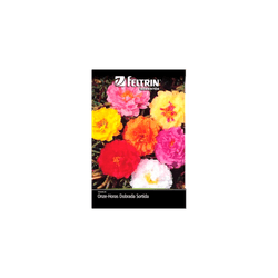 SEMENTE-FELTRIN-FLOR-SA.008MG-R296-ONZE-HORAS-SORT