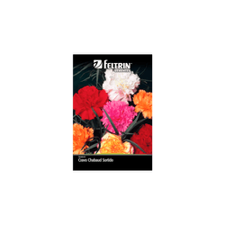 SEMENTE-FELTRIN-FLOR-SA.017MG-R287-CRAVO-SORTIDO