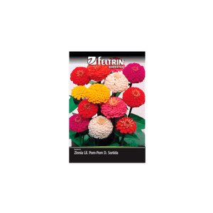 SEMENTE-FELTRIN-FLOR-SA.029MG-R234-ZINNIA-LIL.SORT