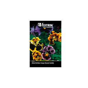 SEMENTE-FELTRIN-FLOR-SAC.01MG-R312-AMOR-PFT-ROCOCO