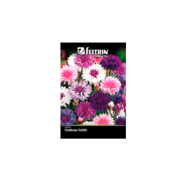 SEMENTE-FELTRIN-FLOR-SAC.036MG-R218-CENTAUREA-SORTI