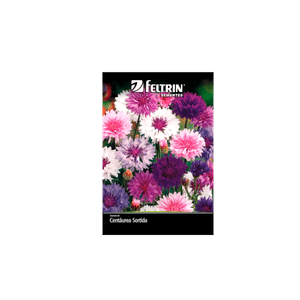 SEMENTE-FELTRIN-FLOR-SAC.036MG-R218-CENTAUREA-SORTI