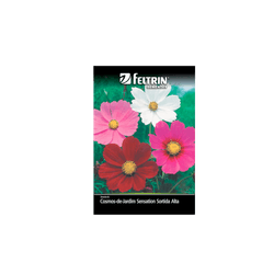 SEMENTE-FELTRIN-FLOR-SC.045MG-R221-SENSATION-SORT