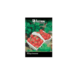 SEMENTE-FELTRIN-SACHE-005MG-R785-MORANGO