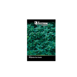 SEMENTE-FELTRIN-SACHE-025MG-R621-MANJERICAO-VERD