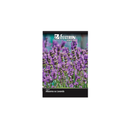 SEMENTE-FELTRIN-SACHE-02MG-R601-ALFAZEMALAVAND
