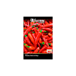 SEMENTE-FELTRIN-SACHE-04MG-R1202-PIMENTA-DED-MOC