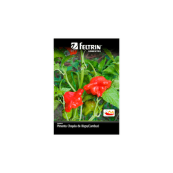 SEMENTE-FELTRIN-SACHE-04MG-R131-PIMENTA-CHAPEU