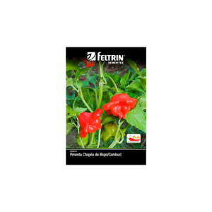 SEMENTE-FELTRIN-SACHE-04MG-R131-PIMENTA-CHAPEU