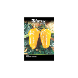 SEMENTE-FELTRIN-SACHE-04MG-R134-PIMENTAO-AMAREL