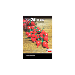 SEMENTE-FELTRIN-SACHE-04MG-R845-PIMENTA-BICO