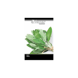 SEMENTE-FELTRIN-SACHE-04MG-SALVIA