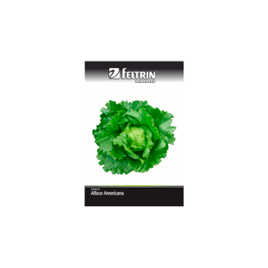 SEMENTE-FELTRIN-SACHE-05MG-R140-ALFACE-AMERICAN