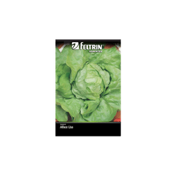 SEMENTE-FELTRIN-SACHE-07MG-R132-ALFACE-REPOLHUD
