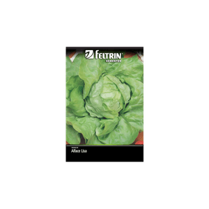 SEMENTE-FELTRIN-SACHE-07MG-R132-ALFACE-REPOLHUD