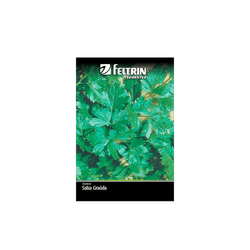 SEMENTE-FELTRIN-SACHE-09G-R116A-SALSA-GRAUDA