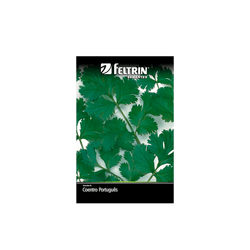 SEMENTE-FELTRIN-SACHE-16G-R114A-COENTRO-PACIFIC