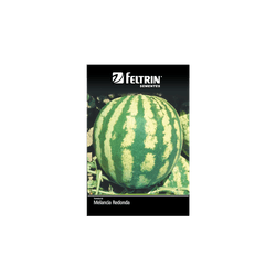 SEMENTE-FELTRIN-SACHE-1G-R75-MELANCIA-CRIMSO