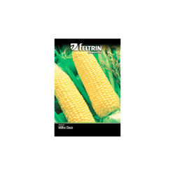 SEMENTE-FELTRIN-SACHE-4G-R149-MILHO-SUP-DOC