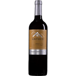 VINHO-CHILENO-ANTUCO-750ML-RESERVADO-MERLOT