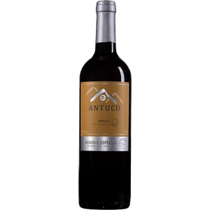 VINHO-CHILENO-ANTUCO-750ML-RESERVADO-MERLOT