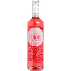 VINHO-NACIONAL-SALTON-CLASSIC-750ML-FRISANTE-ROSE