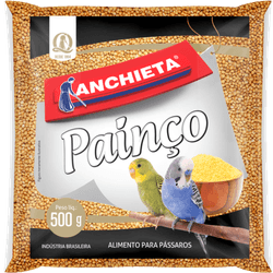 PAINCO-ANCHIETA-500G